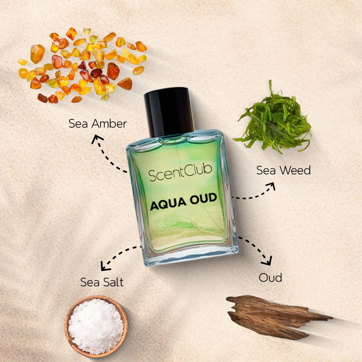 Aqua Oud (Unisex) - Long Lasting Perfume